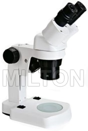 stereo-microscopes2